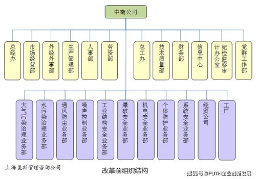 某高科技企业管理诊断案例ⅰ 子公司长不大,总部又成了空壳子 困境